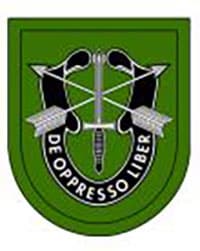 10TH SPECIAL FORCES GROUP insignia