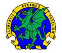 12TH CHEMICAL COMPANY insignia