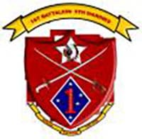 1ST BN 5TH MARINES insignia