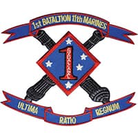 BRAVO 1-11 insignia