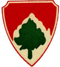 23RD ENGINEER BATTALION insignia