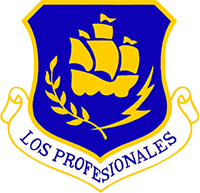 24th Special Operations Wing insignia