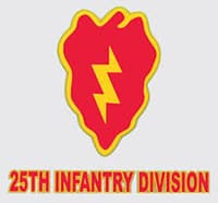 25TH insignia