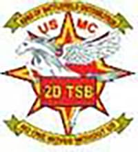 2ND TSB insignia