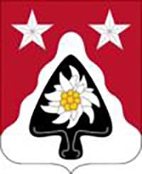 31ST COMBAT ENGINEERS insignia