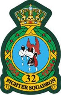 32ND TFS insignia