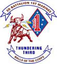 3-1 insignia
