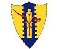 2-4 CAV insignia