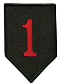 701ST MSB insignia