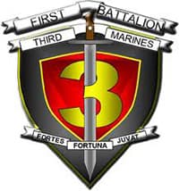 1ST insignia