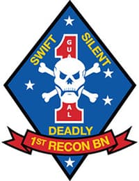 1ST RADIO BN insignia