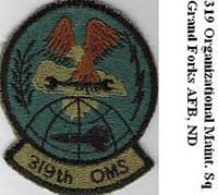 319 OMS insignia