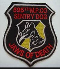 595TH MP CO insignia