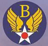 BASIC TRAINING insignia