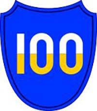 100TH DIVISION insignia
