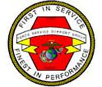 1ST FORCE SERVICE SUPPORT GROUP insignia