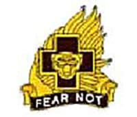 21ST COMBAT SUPPORT HOSPITAL insignia