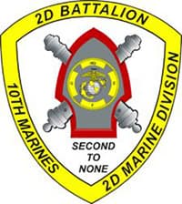 DELTA 2-10 insignia