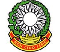 4-3 ADA insignia