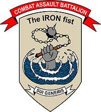 COMBAT ASSAULT BATTALION insignia